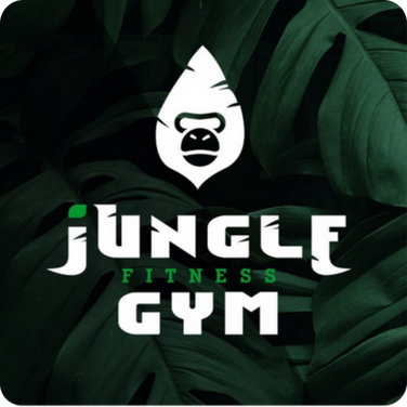 Jungle gym